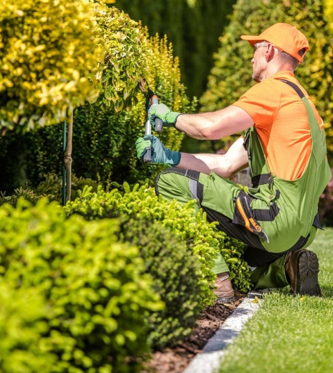 Trimming Services North Houston