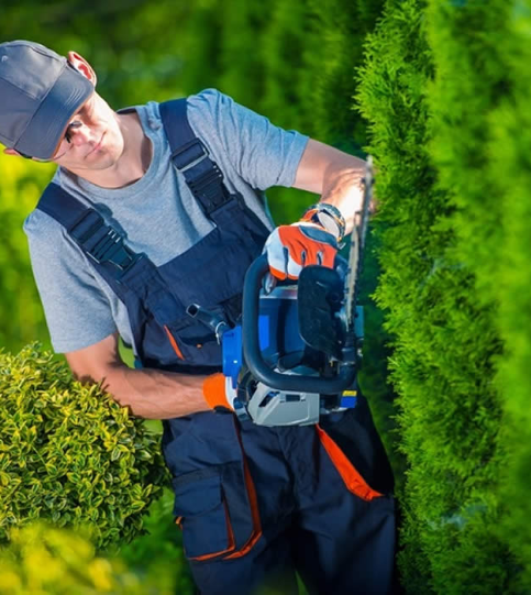 Lawn Care Dedicated Staff in North Houston