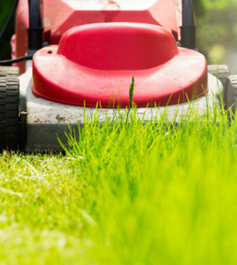 Mowing Services North Houston
