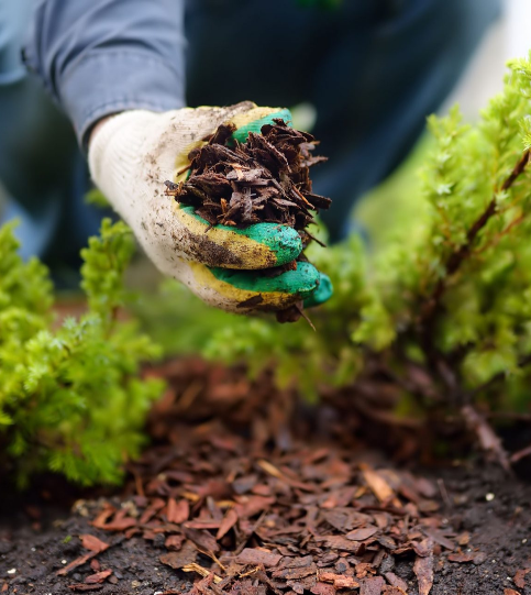 Mulching Services North Houston