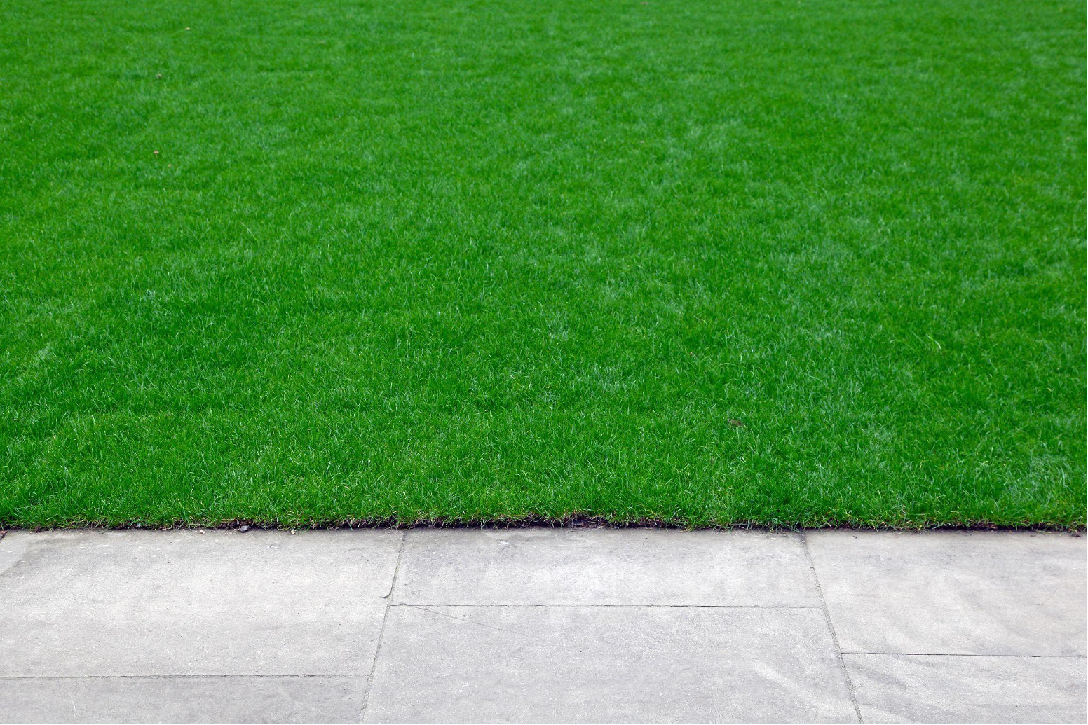 Understanding Edging as a Service: Creating Clean and Defined Lines for a Polished Look