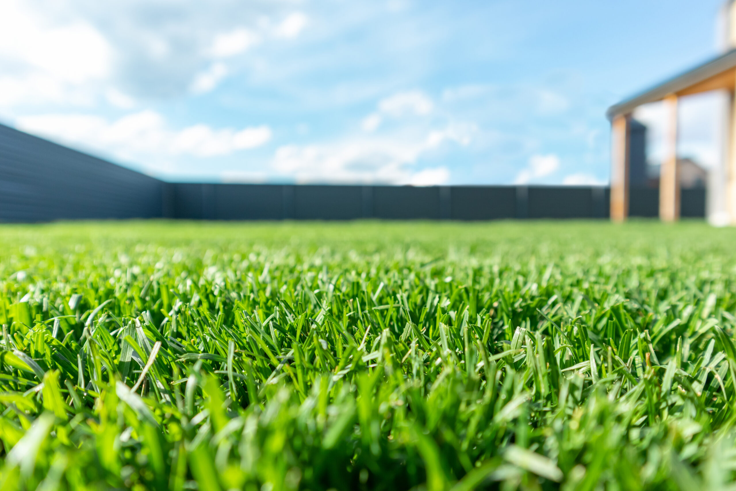 The Gold Standard: Why Lawn Service In Spring TX Are Top-Notch